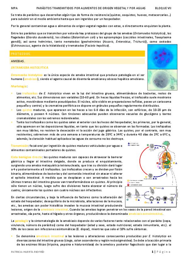 Miniatura del documento Parasitologia-2.pdf