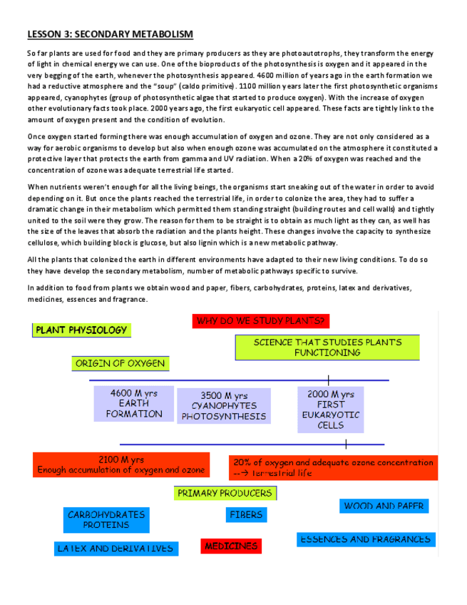 Miniatura del documento LESSON-3.pdf