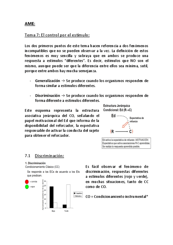 Miniatura del documento AME-TEMA-7-bo.pdf