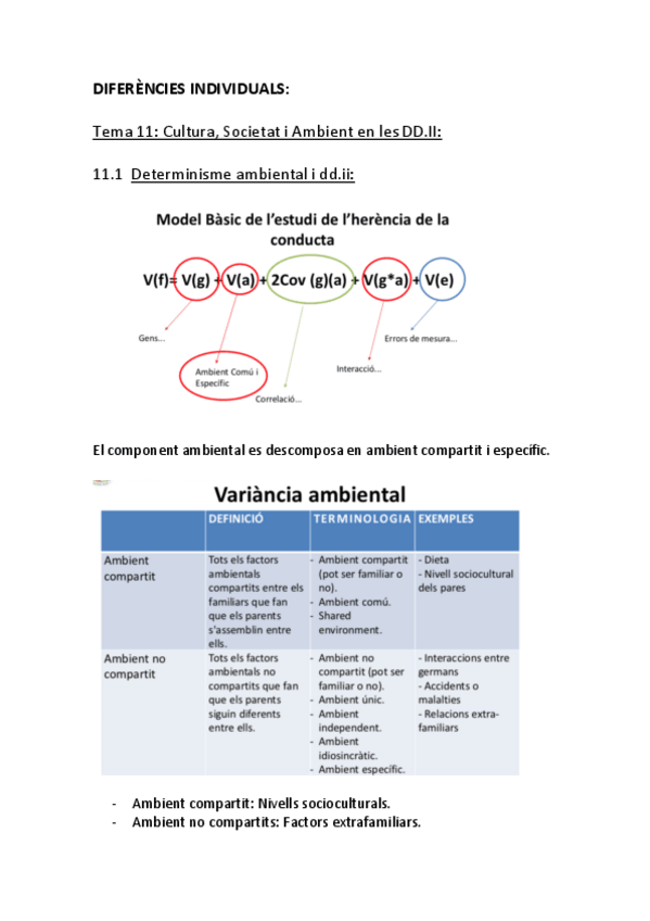 Miniatura del documento DDII-TEMA-11-bo.pdf