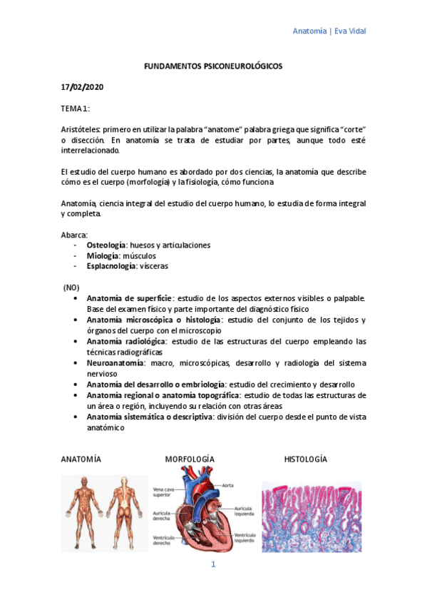 Miniatura del documento APUNTES-ANATOMIA.pdf