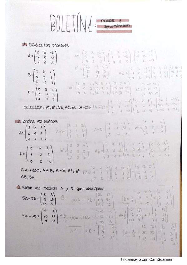 Miniatura del documento boletines-algebra.pdf