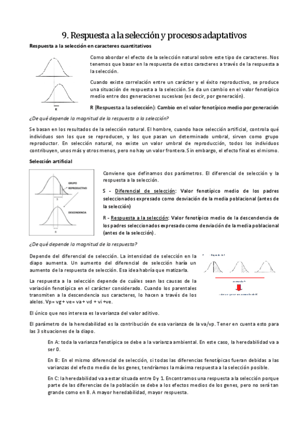 Miniatura del documento 9.pdf