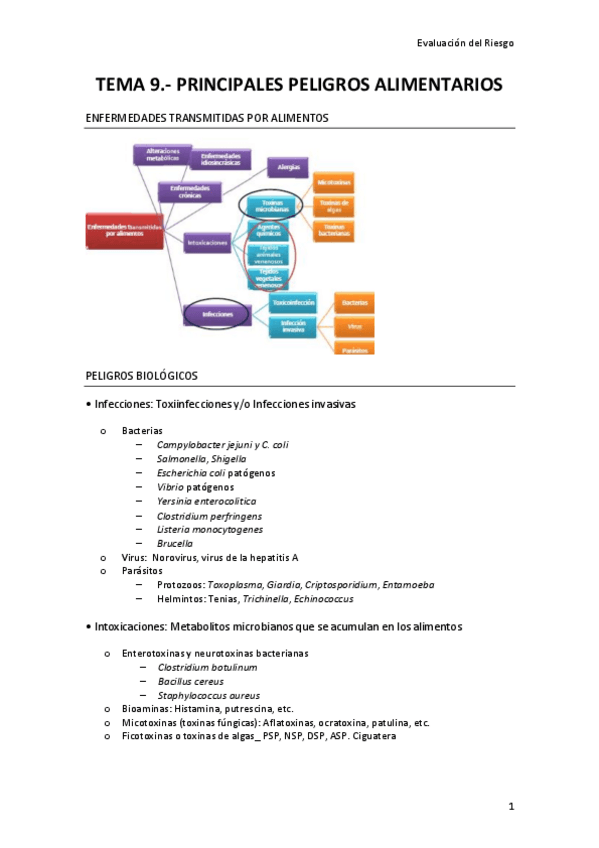 Miniatura del documento Tema-9.pdf