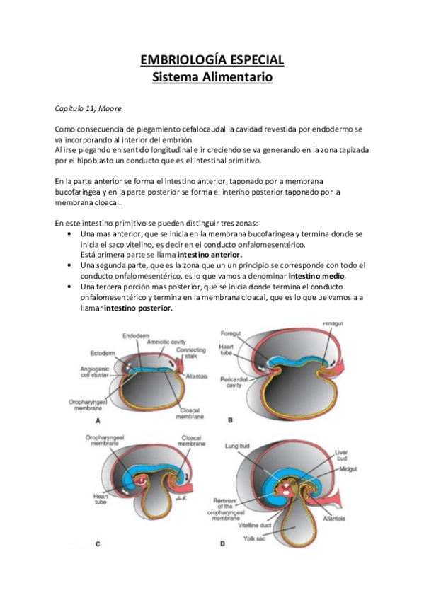 Miniatura del documento Embriologia-Especial-SD.pdf