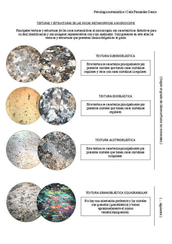 Miniatura del documento Texturas-y-estructuras-atlas-microscopio-.pdf