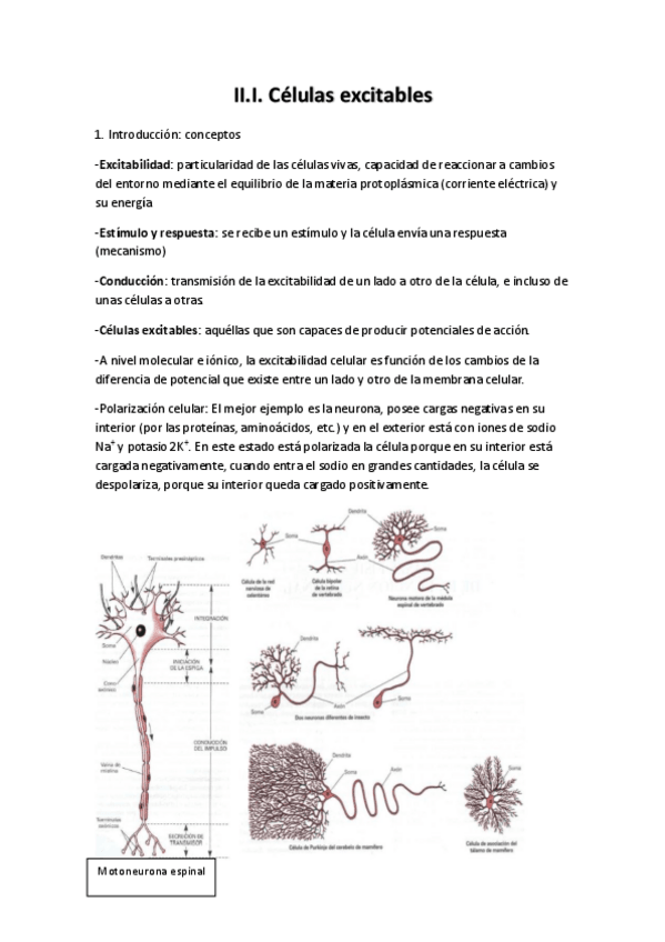 Miniatura del documento Fisiología Tema 2.1.pdf
