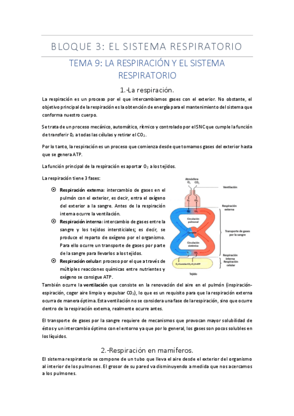 Miniatura del documento BLOQUE-3.pdf