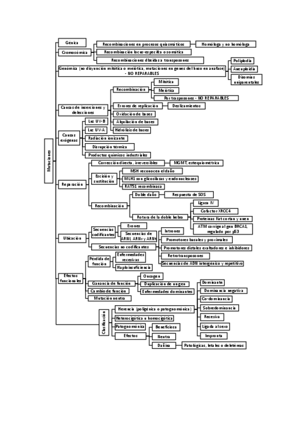 Miniatura del documento MUTACIONES.pdf
