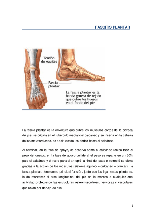 Miniatura del documento 10.pdf