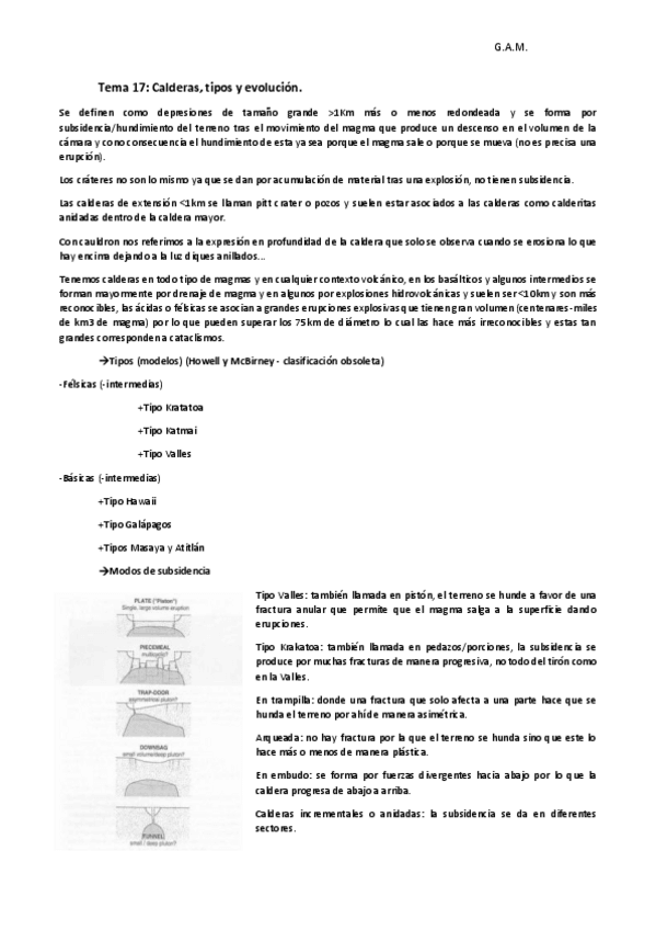Miniatura del documento Tema 17 VULCA.pdf