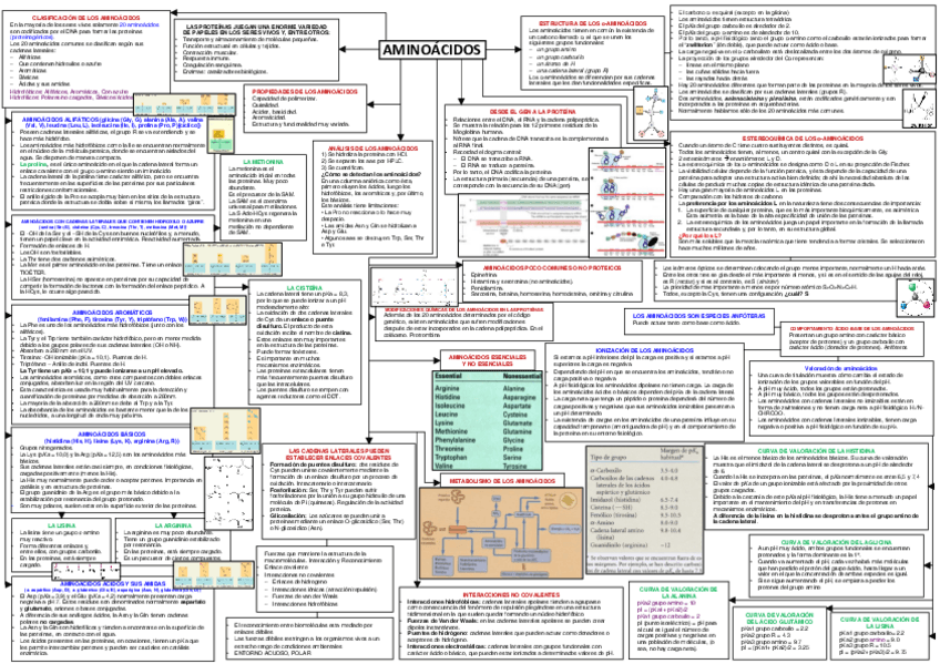 Miniatura del documento Aminoacidos-y-Peptidos.pdf