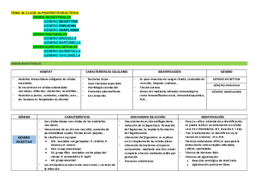 Miniatura del documento TABLA-BACTERIAS-copia.pdf