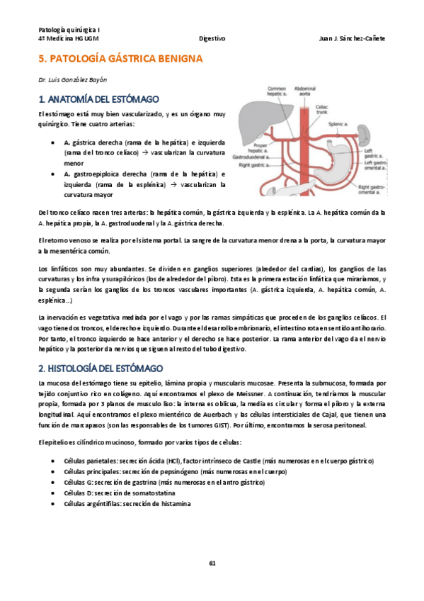 Miniatura del documento Qx-DIGESTIVO-TEMAS-5-12.pdf