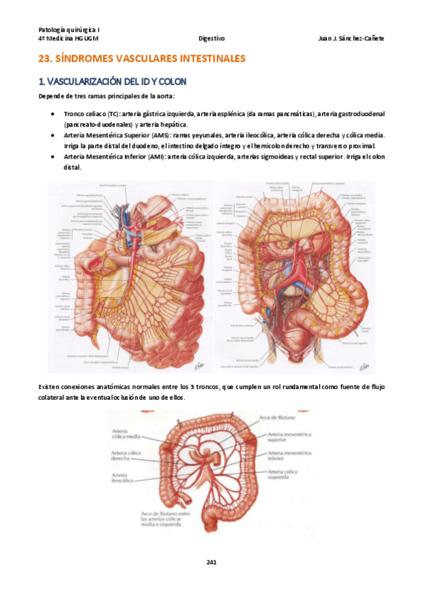 Miniatura del documento Qx-DIGESTIVO-TEMA-23-29.pdf