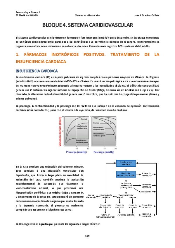 Miniatura del documento 4 Sistema Cardiovascular.pdf