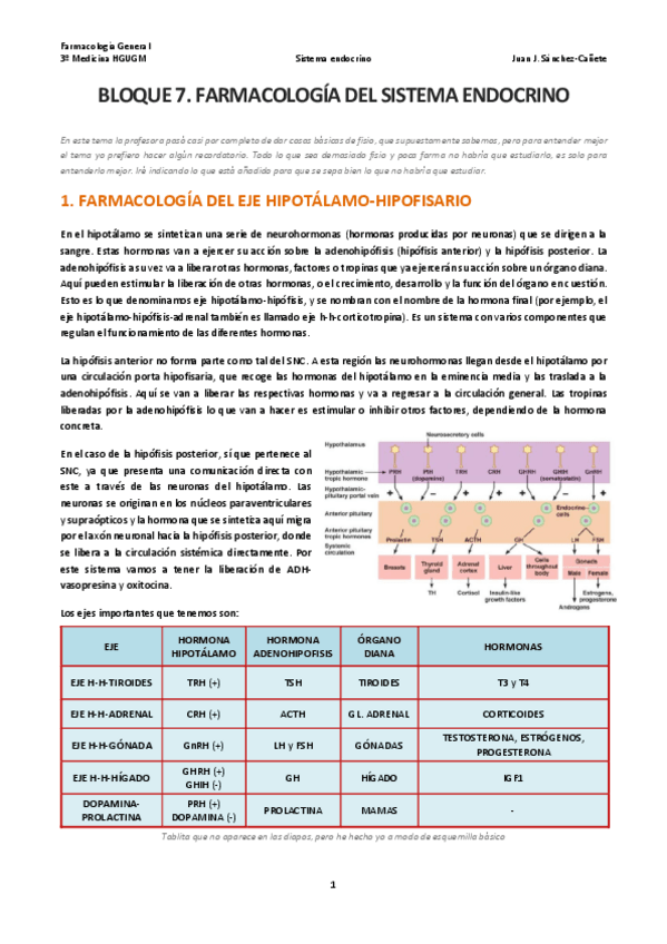 Miniatura del documento 7 Sistema endocrino.pdf