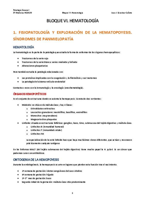 Miniatura del documento PG-BLOQUE-VI.pdf