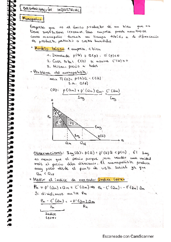 Miniatura del documento CamScanner-05-22-2020-17.pdf