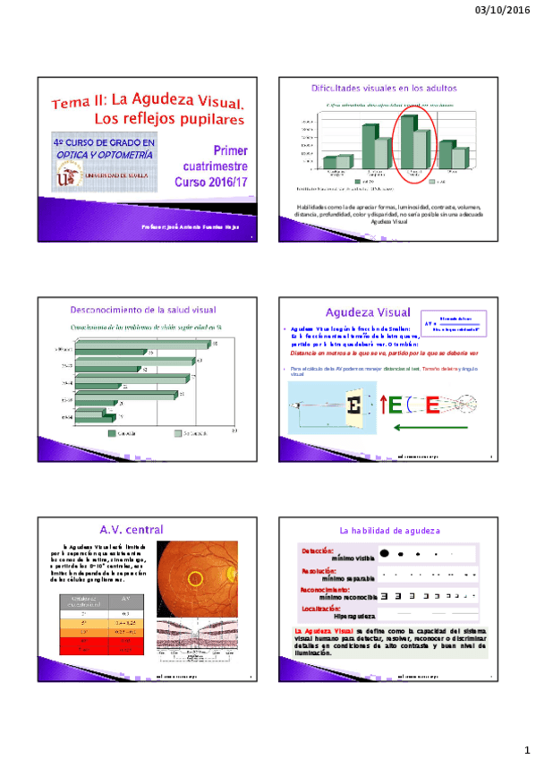 Miniatura del documento T-2. La Agudeza visual. Los reflejos pupilares.Alumnos (1).pdf