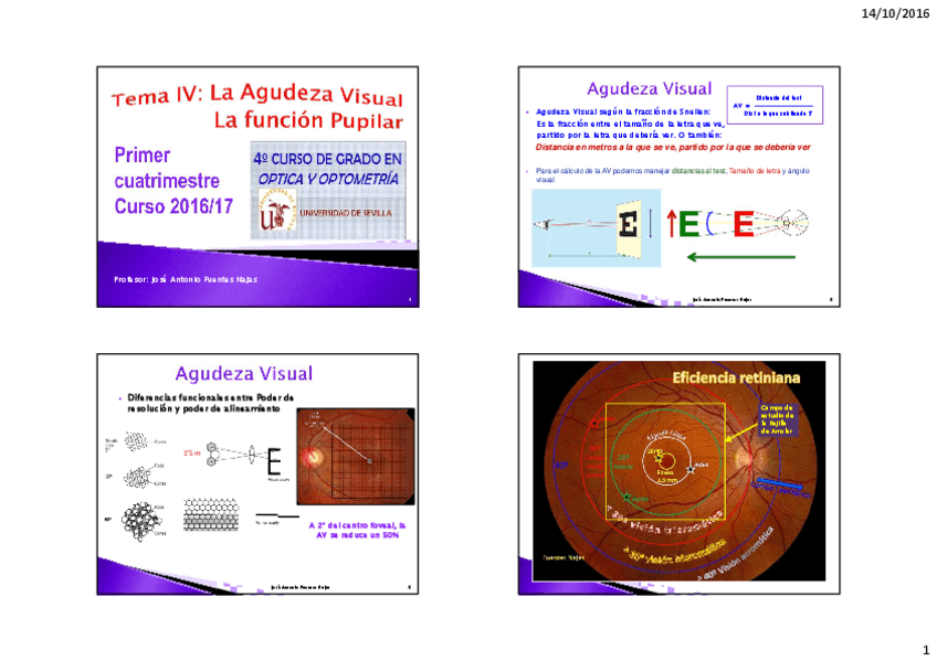 Miniatura del documento T-III. IV y VII. La AV. El Examen Pupilar. La refracción.pdf