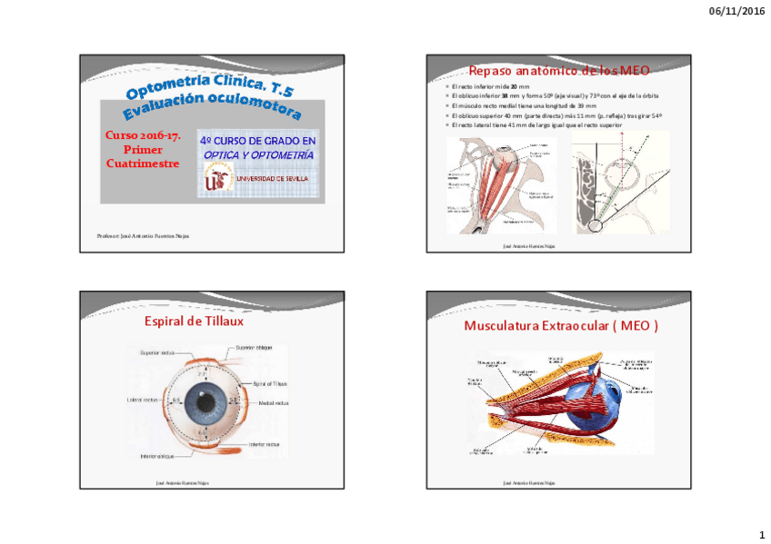 Miniatura del documento TEMA 7 alumnos. OCULO MOTRICIDAD..pdf