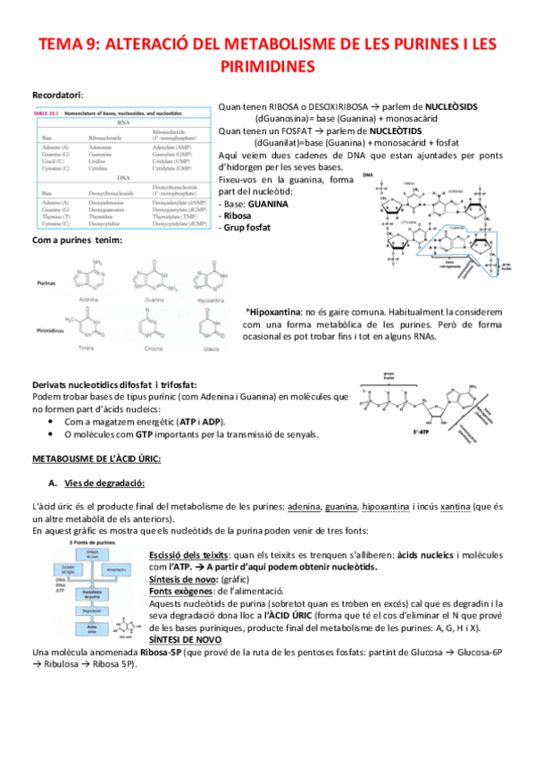 Miniatura del documento TEMA-9-BQ.pdf