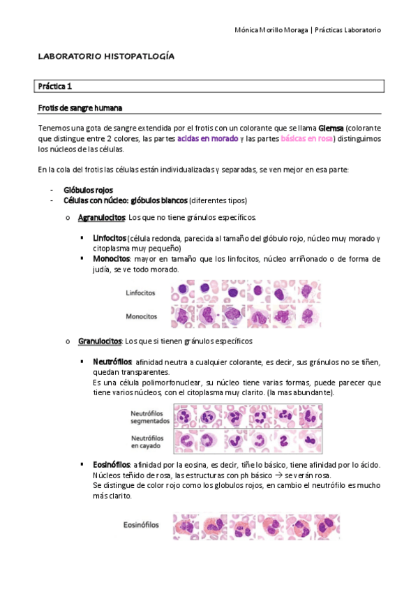 Miniatura del documento LABORATORIO.pdf