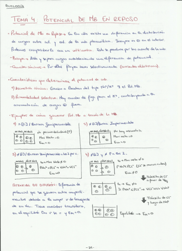 Miniatura del documento Temas  4 y 5.pdf