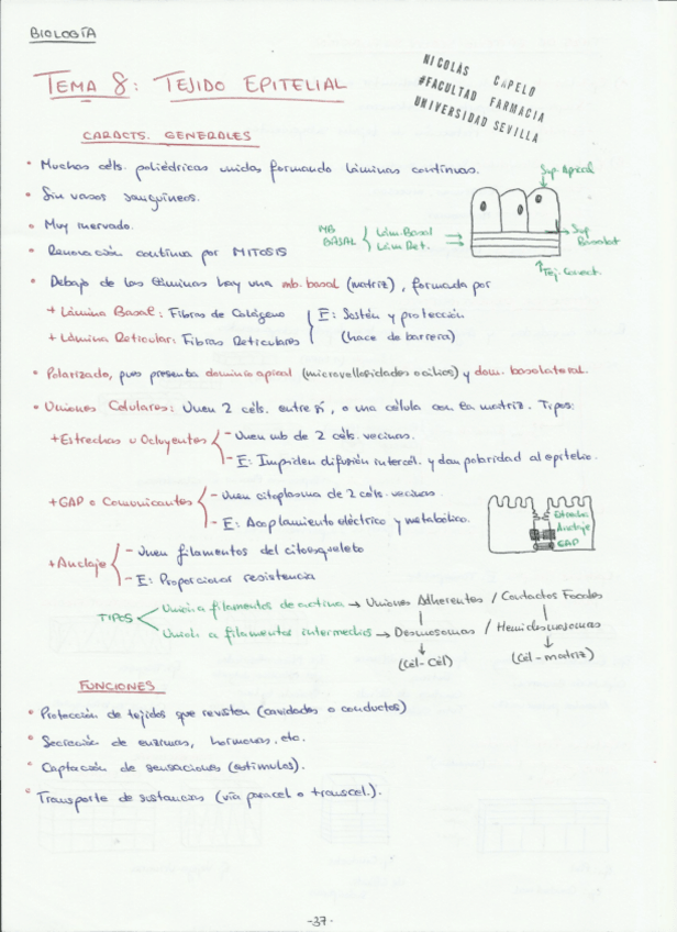 Miniatura del documento Temas 8 y 9.1.pdf