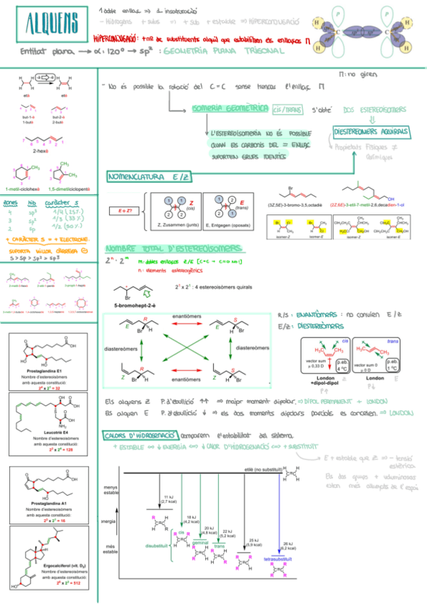Miniatura del documento BLOC-II-PART-I.pdf