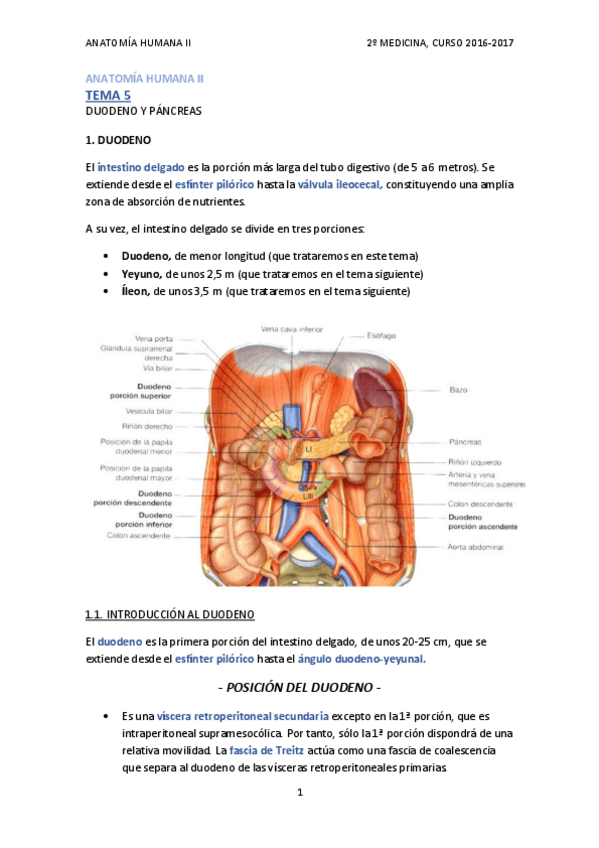 Miniatura del documento TEMA 5 - DUODENO Y PÁNCREAS.pdf