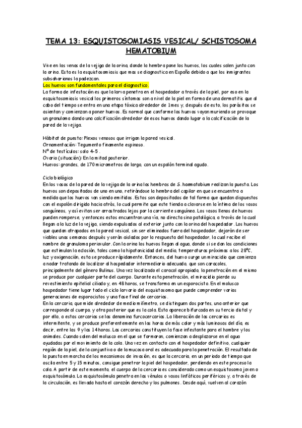 Miniatura del documento TEMA 13.pdf