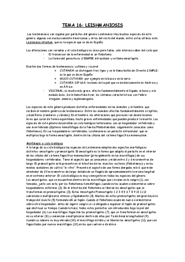 Miniatura del documento TEMA 16.pdf
