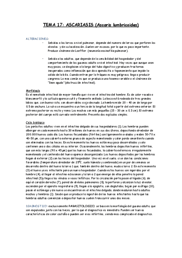 Miniatura del documento TEMA 17.pdf