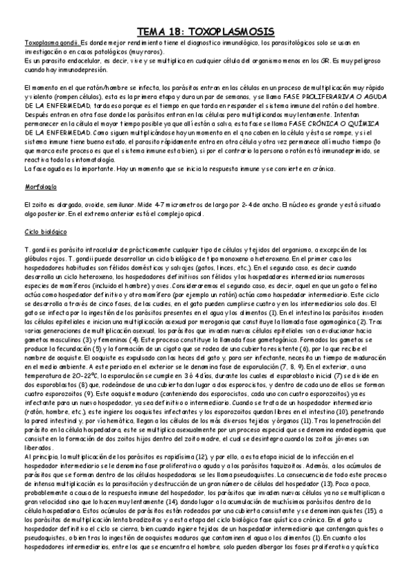 Miniatura del documento TEMA 18.pdf