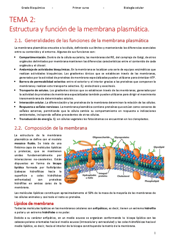 Miniatura del documento Apuntes_BIOCEL.pdf