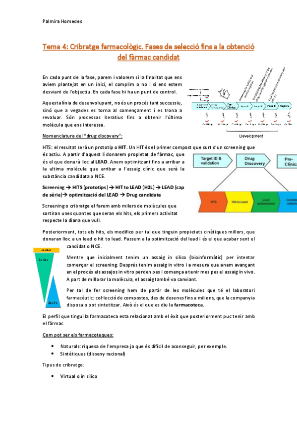 Miniatura del documento Tema 4. Screening.pdf
