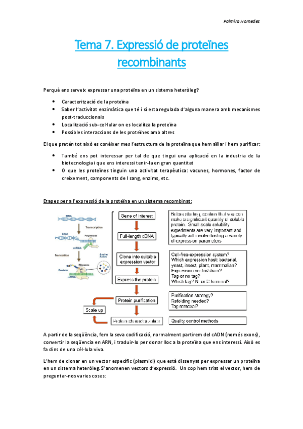 Miniatura del documento Tema 7. Expressó de proteïnes recombinants.pdf