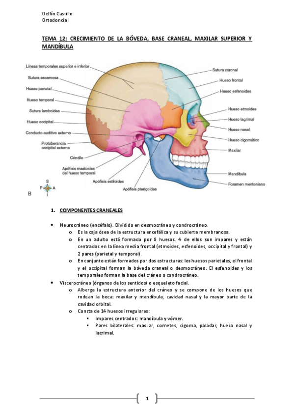 Miniatura del documento TEMA-12.pdf