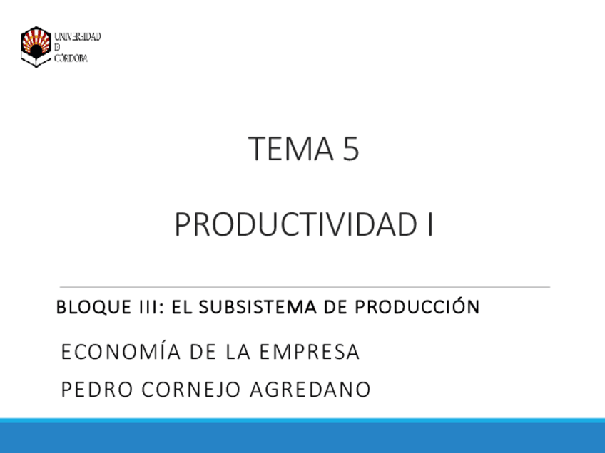 Miniatura del documento Solucion-Practica-Tema-5-Productividad.pdf