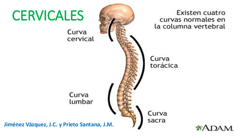 Miniatura del documento Powerpoint-presentacion.pdf
