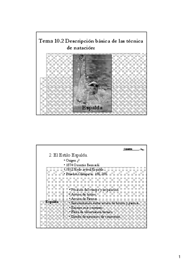 Miniatura del documento T10.pdf