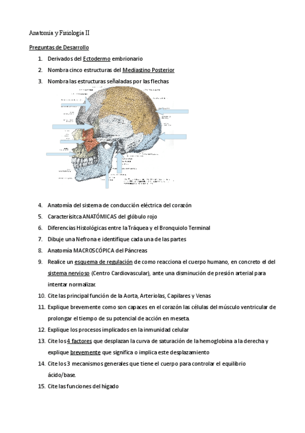 Miniatura del documento Examen-A-y-F-II-sin-respuestas-2011.pdf
