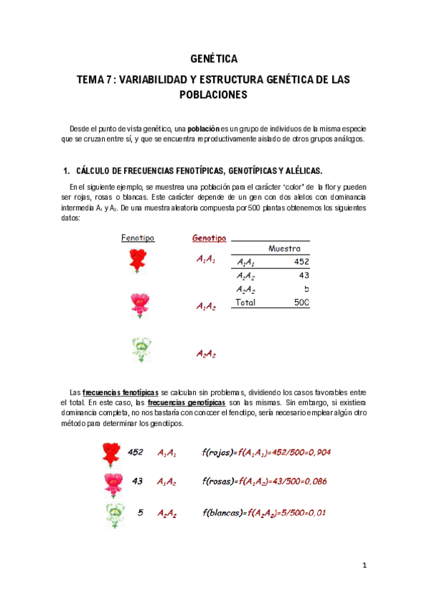 Miniatura del documento Tema-7-Variabilidad-y-estructura-genetica-de-poblaciones.pdf