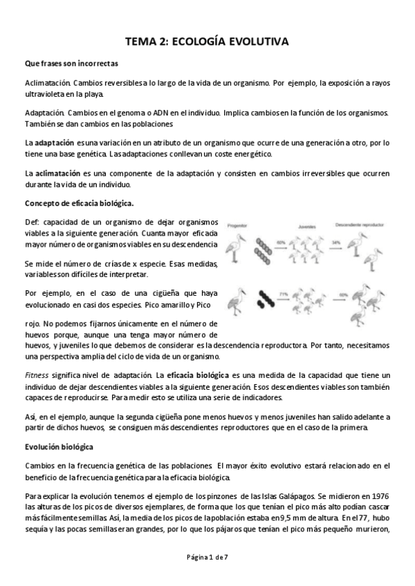 Miniatura del documento TEMA-2.pdf