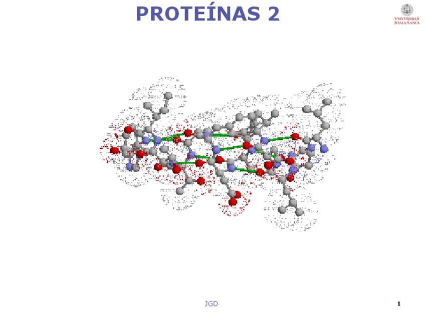 Miniatura del documento Prot2IQ19.pdf