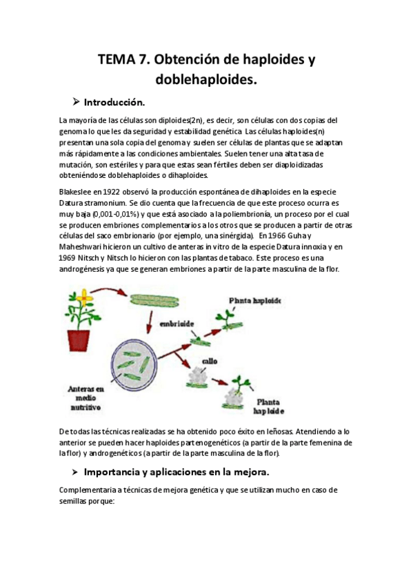 Miniatura del documento tema-7-biotec-veg.pdf