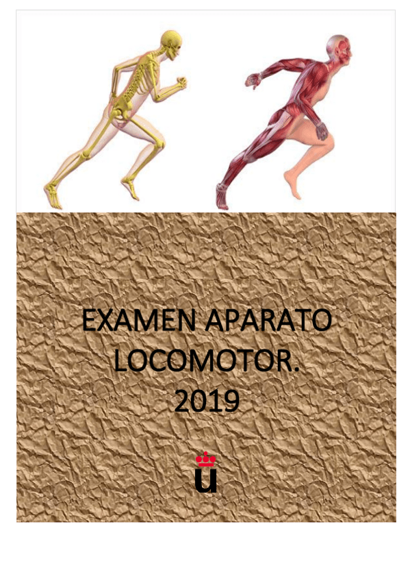 Miniatura del documento EXAMEN-LOCOMOTOR-2019.pdf