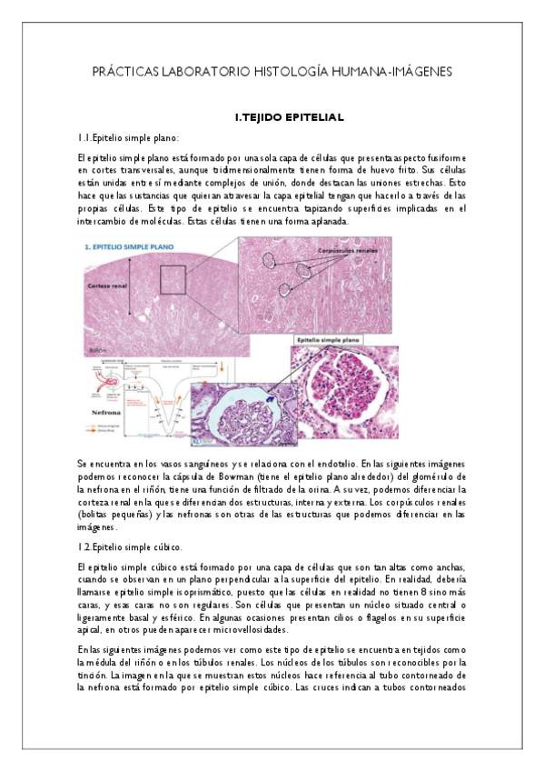 Miniatura del documento imagenes-analisis-con-simulacro.pdf